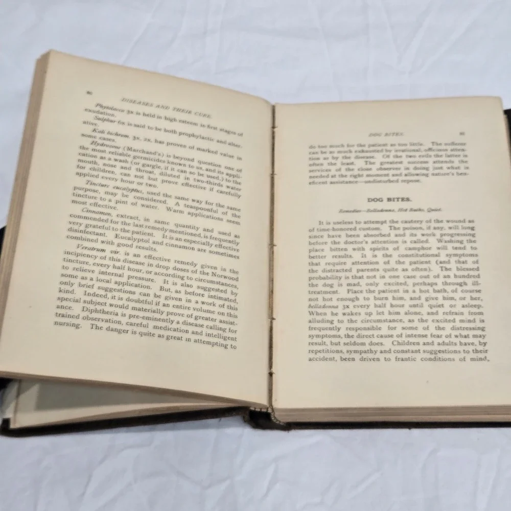 1898 Diseases Their Cure O. H. Crandall MD Fifty Years Experience Medical Book
